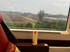 -郑州东站