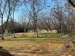 -盘龙城国家考古遗址公园