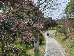 -东莞植物园