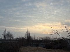 -东梓关景区村庄