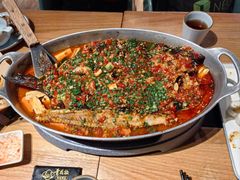 -青花椒秘制烤鱼(光启城店)