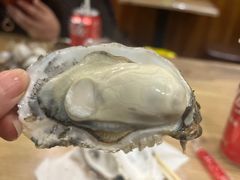 -爱蚝屋