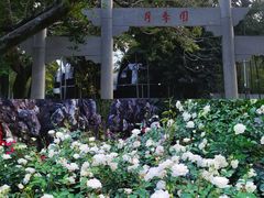 -人民公园(罗湖区)