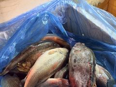-王四营海鲜市场