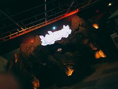 -大信·云顶星河游乐王国