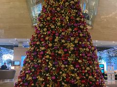 -皇朝尊会(龙之梦大酒店)