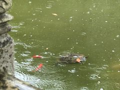 -健眺小海鲜(临海后山店)