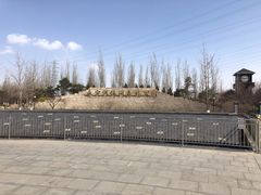 -永定河休闲森林公园