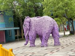 -温州乐园