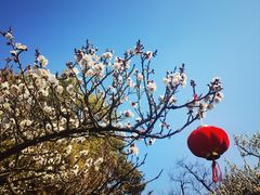 -南园(太仓市)