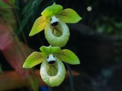 -国家植物园南园