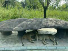 -北京野生动物园