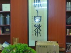-正源安吉白茶特产享购商场(安吉店)