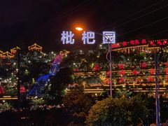 -枇杷园食为鲜火锅(南山店)