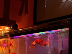 -無名记忆Music Bar夜景怀旧酒吧