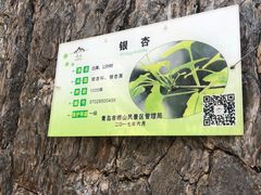 -青岛崂山太清宫