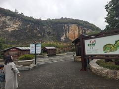 -金钉子远古世界景区
