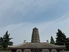 -法门文化景区