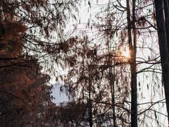 -重庆彩云湖湿地公园