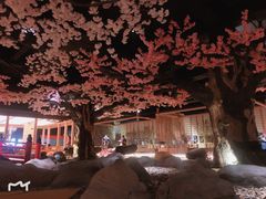 -蓝鲸湾汤泉(包河店)