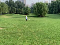 -长白岛森林公园