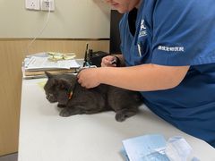 -康成宠物医院24H·CT·核磁共振