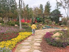 -上海长兴岛郊野公园