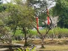 -桃花涧