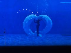 -石家庄极地海洋世界