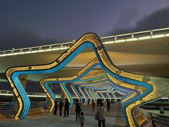 -演武大桥观景平台