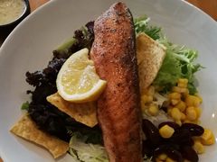 三文鱼沙拉-JAMES+詹嘉厨房