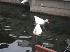 -陈云纪念馆