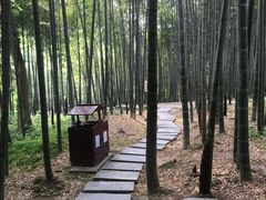 -杭州黄龙洞