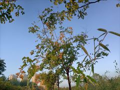 -郑州方特梦幻王国