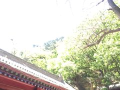 -北京上方山国家森林公园
