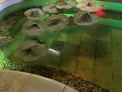 -泉城欧乐堡戏水湾艺术养生温泉