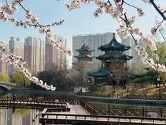 -迎泽公园