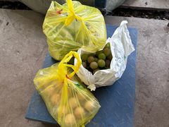 -马陆小张葡萄园农家乐