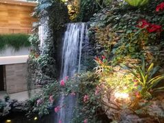 -广州白天鹅宾馆