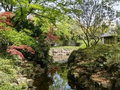 -上海醉白池公园