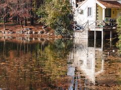 -上海共青森林公园