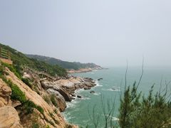 -广东惠东海龟国家级自然保护区