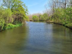 -溱湖国家湿地公园