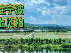 -宁波美术馆