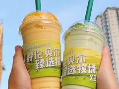 -茉酸奶(春熙路店)