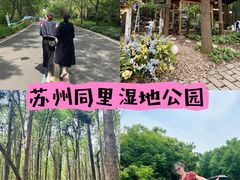 -同里国家湿地公园