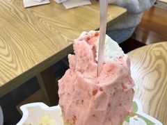 -野人先生Gelato(上海长宁龙之梦店)