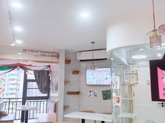 -喵园·猫主题咖啡厅·撸猫·猫咖(国贸店)