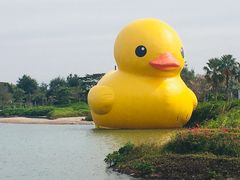 -深圳人才公园