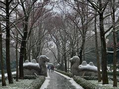 -梅花山(明孝陵内)